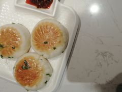 -南枝记