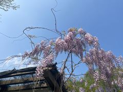 -苏州太湖国家湿地公园