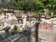 -原山国家森林公园