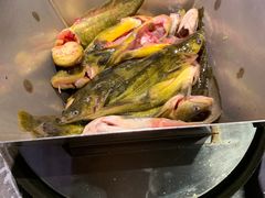 -米氏火鱼·泡椒鱼火锅(李子坝老店)