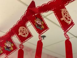 -爱尔乐美孕产瑜伽·普拉提
