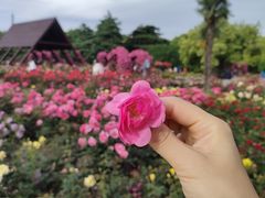 -上海滨江森林公园