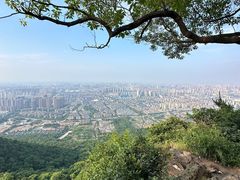 -惠山国家森林公园