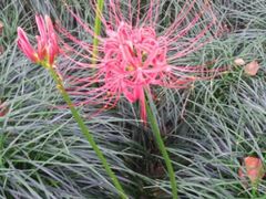 android_upload_pic-上海虹桥迎宾馆