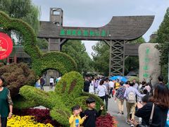 -溱湖国家湿地公园