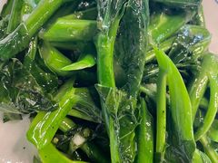 -江门新会碧桂园凤悦凤凰酒店(万达广场店)