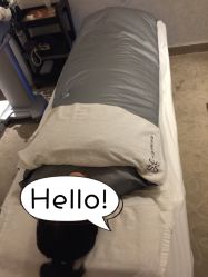 张玉珊修身堂(旗舰店)-张玉珊修身堂