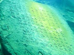 -白鹤梁水下博物馆