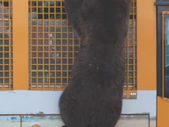 -上海野生动物园