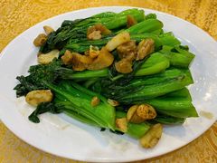 生炒菜心-九大簋家宴(北京路店)