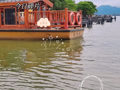 -西湖游船