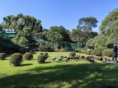 景点-沈阳鸟岛