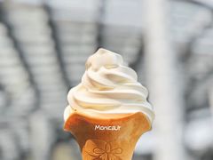 冰淇淋花筒-肯德基(深圳湾体育中心店)