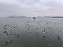 -蠡湖大桥公园