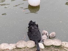 -上海野生动物园