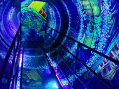 -上海梵高星空艺术馆(南京路旗舰店)