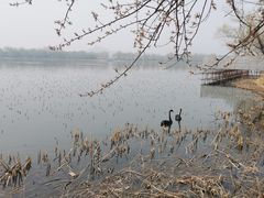 -颐和园