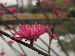 -圩墩遗址公园