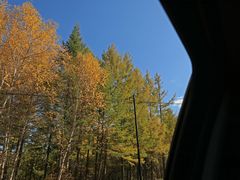 -塞罕坝国家级自然保护区