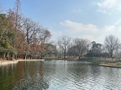 -绿荫坊餐厅(共青森林公园店)
