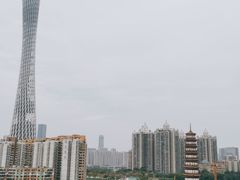 -小茶闲舍·观景商务茶馆(广州塔店)