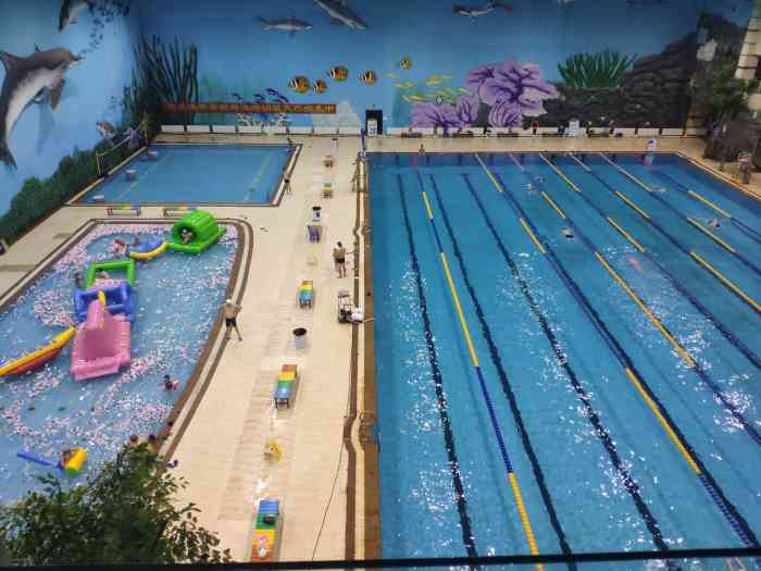 阳光海帝游泳馆-"海帝游泳馆重新装修后第一次来体验,50米.