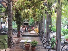 -The Grounds of Alexandria