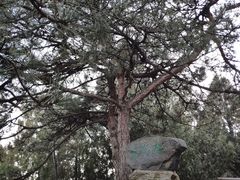 -北京鹫峰国家森林公园