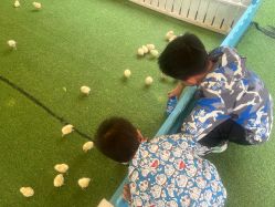 -萌宠亲子动物乐园(槐房万达店)