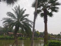 -枫香湖儿童公园