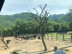 -西安秦岭野生动物园