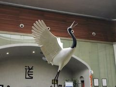 -楼观道温泉酒店