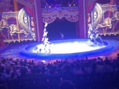 -珠海横琴长隆《卡卡虎奇遇记》