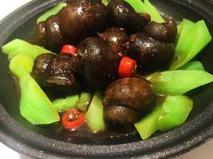 -蘭心·臻品(瑞虹太阳宫店)