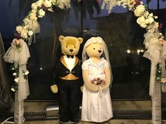 -济州岛泰迪熊博物馆