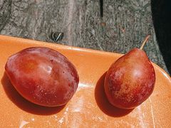 -牛New寿喜烧(金茂览秀城店)