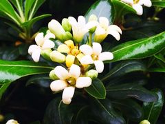 iphone_upload_pic-华南师范大学(广州大学城校区)