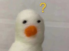 -觅福里•熟成和牛餐厅