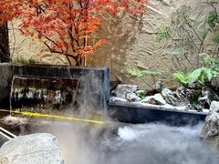 -院里寻菜·精致庭院菜(观沙岭店)