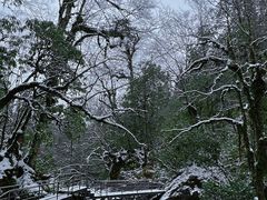 -龙苍沟森林公园
