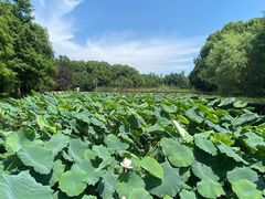 -同里国家湿地公园