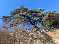 -北京西山国家森林公园