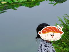 -龙潭水乡