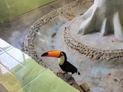 -石家庄市动物园