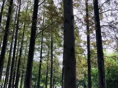 -瀛洲公园