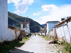 -松赞干布出生地
