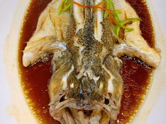 生嗜多宝鱼-阿西娅食府(中关村店)