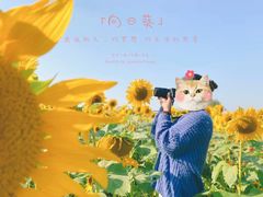 -映月湖中央公园