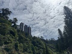 -云顶高原