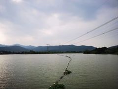-长田漾湿地公园